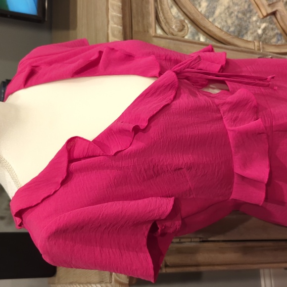 NWT Women's size 9/10 Fuchsia Dress - Picture 4 of 11